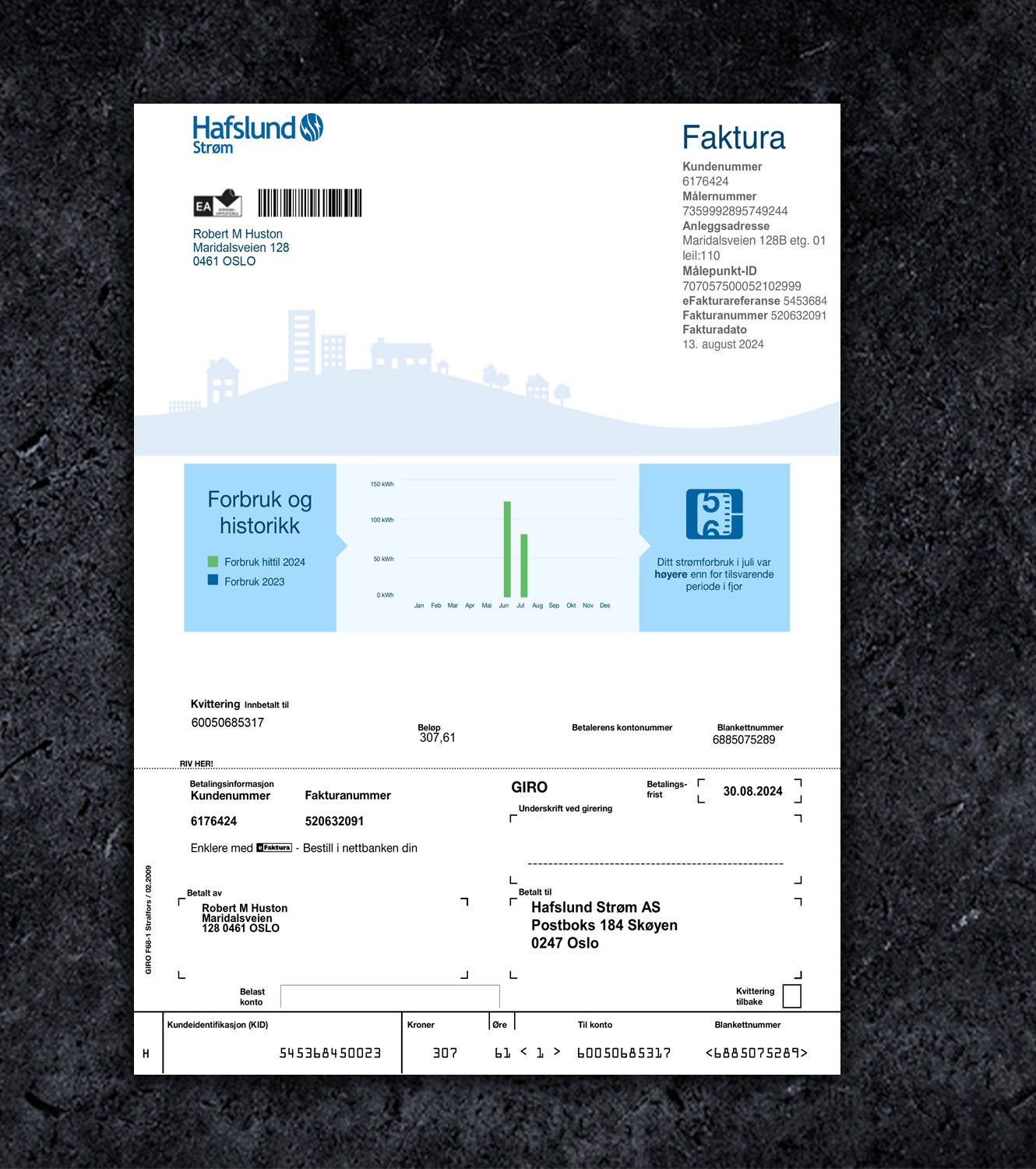 Hafslund Norway Utility Bill PDF Template - 2024
